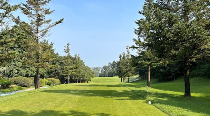 telek takarítás Dabas, telek takaritas dabas