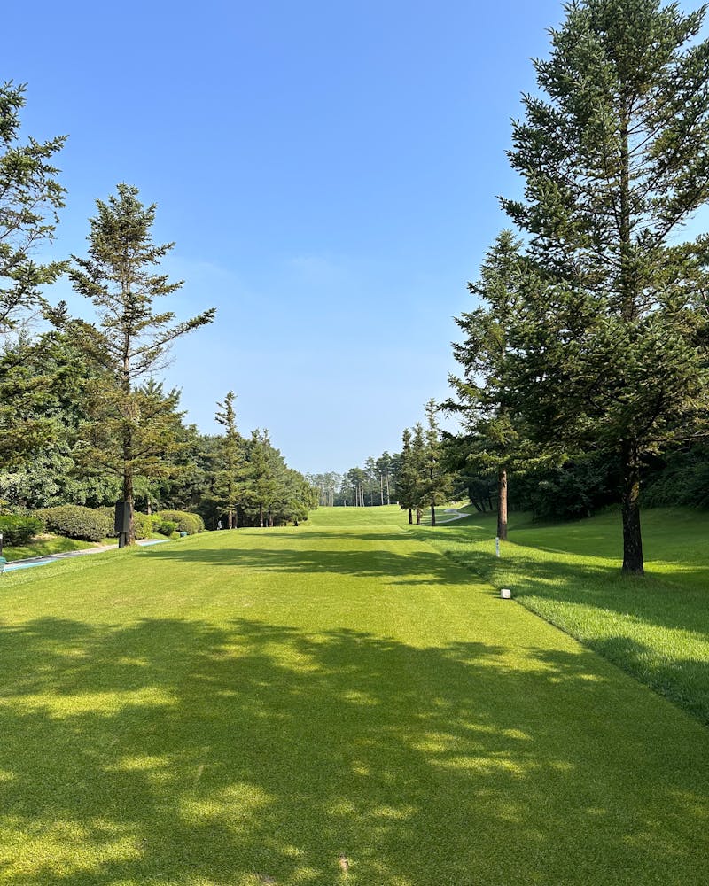 telek takarítás Dabas, telek takaritas dabas