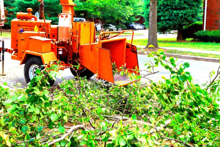 agdaralas dabas, ágdarálás Dabas