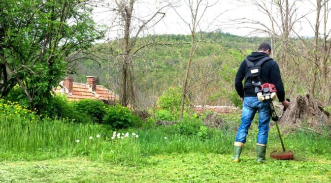 fűkaszálás Dabas, fukaszalas dabas