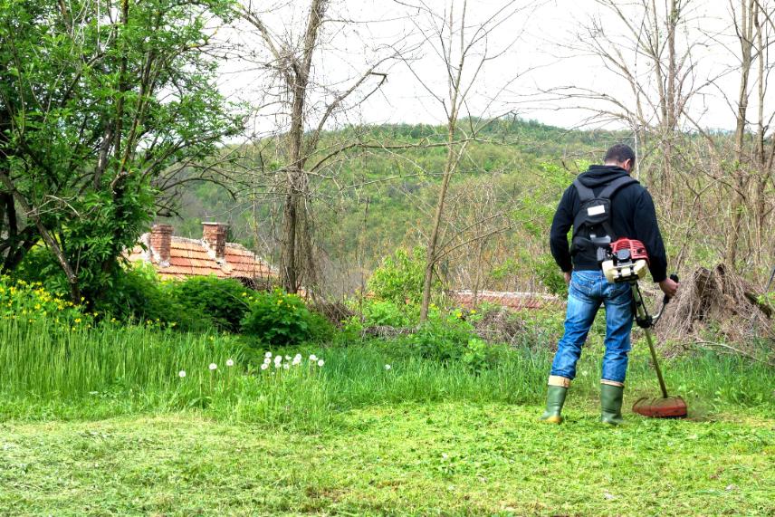 fűkaszálás Dabas, fukaszalas dabas