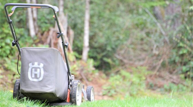 fűnyírás Dabas, funyiras dabas