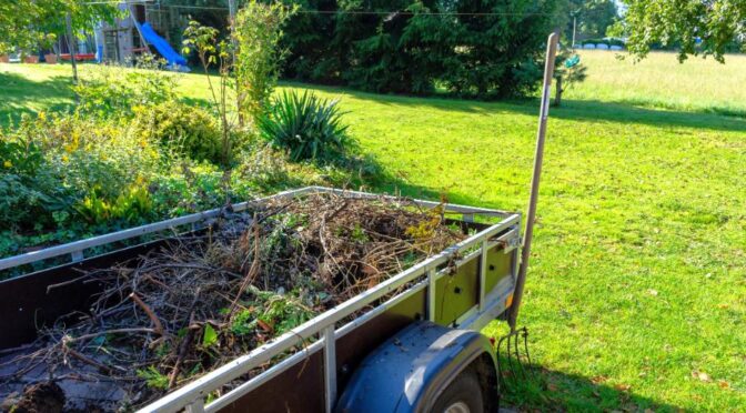 bozótirtás Dabas, bozotirtas dabas